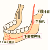 オトガイ神経麻痺のしびれや痛みは千葉県ぬくもり鍼灸院
