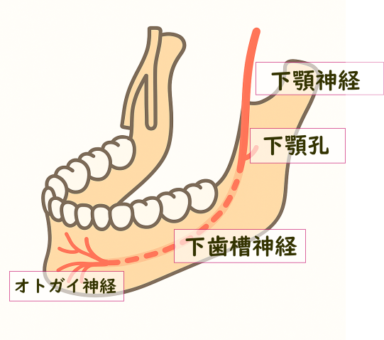 オトガイ神経麻痺のしびれや痛みは千葉県ぬくもり鍼灸院