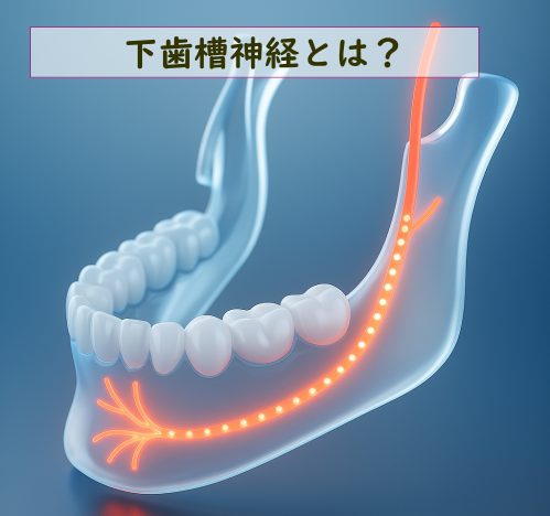 東京からも来院が多い鍼灸院・下歯槽神経麻痺はお任せください